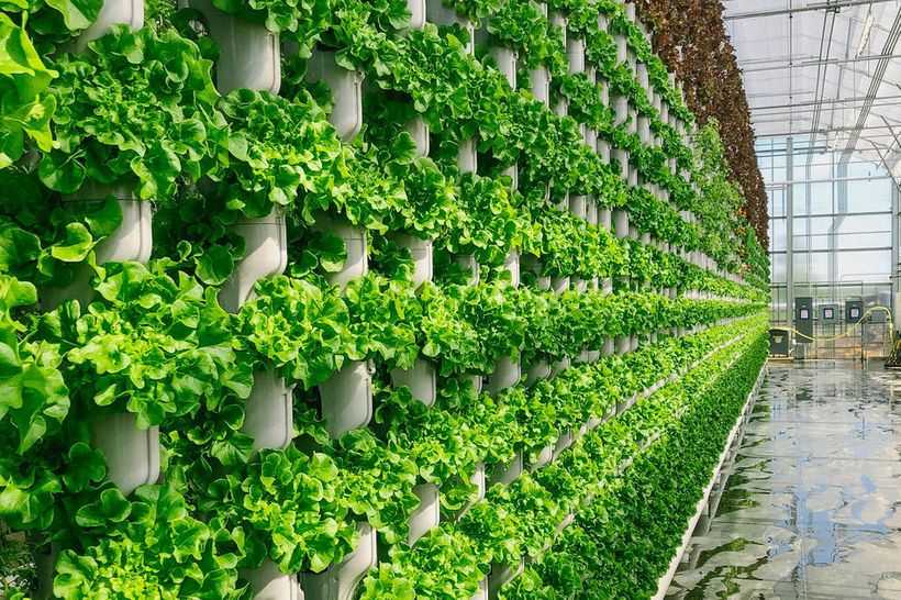 Eden-Green-Technology-Greenhouse
