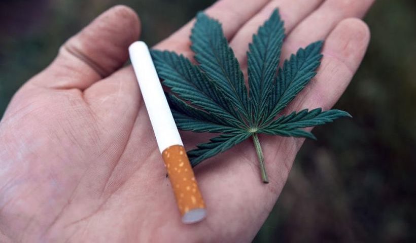 Cannabis Company Declares War on Big Tobacco After Signing of US Farm Bill