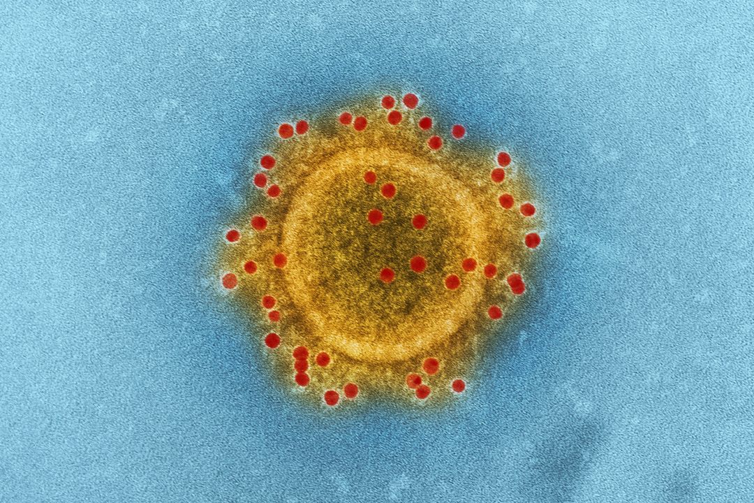 Samsung Electronics Confirms Coronavirus Case at Phone Factory Complex in South Korea